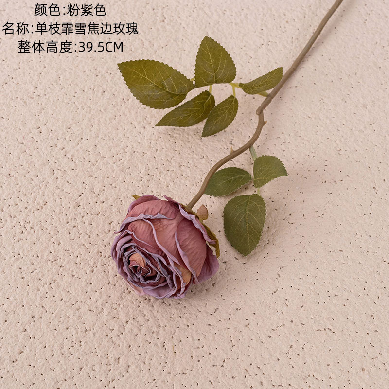 Pink purple
