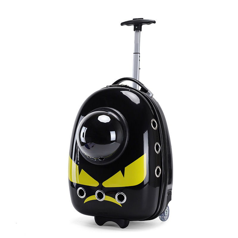5009 black yellow