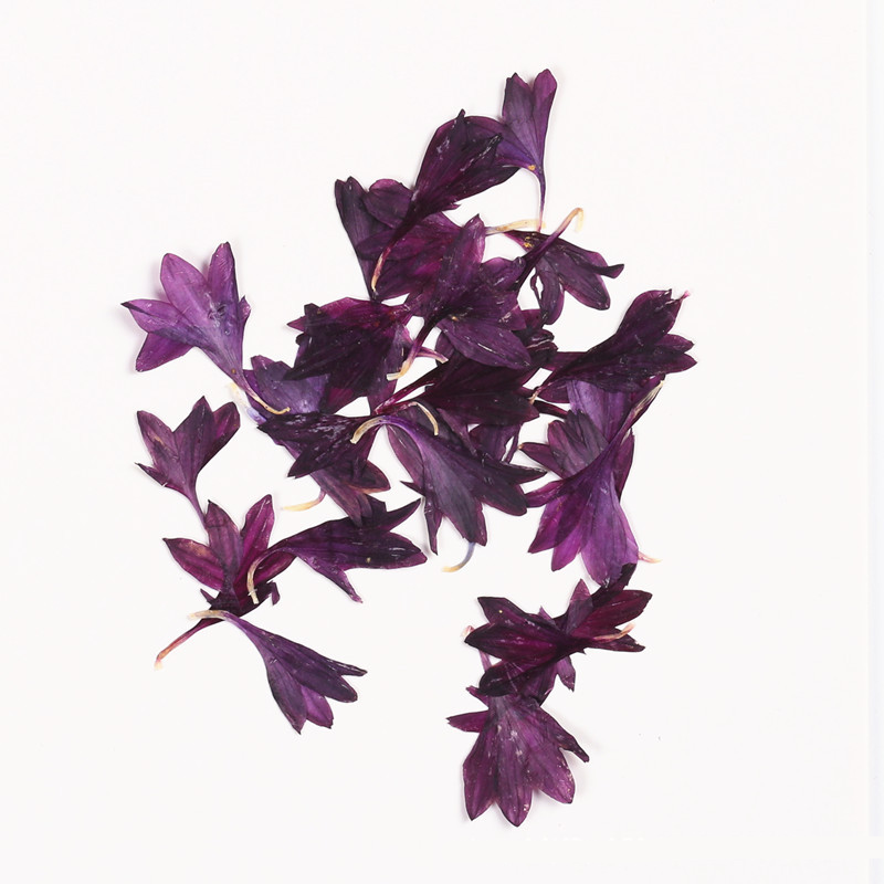 Viola scuro