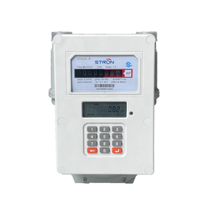 G1.6 otomat yazılımı ile dijital ön ödemeli gaz Meter metresi - Product Image 1