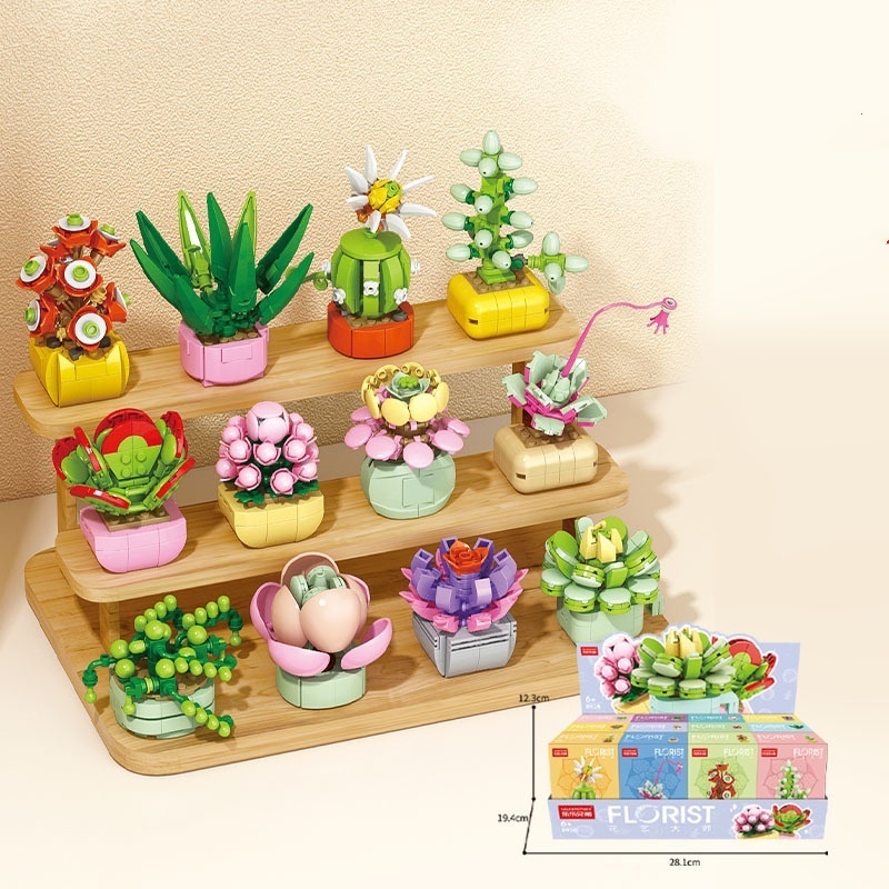 8938 Succulentes en pot 1 lot de 12 boîtes commander par multiple de 12