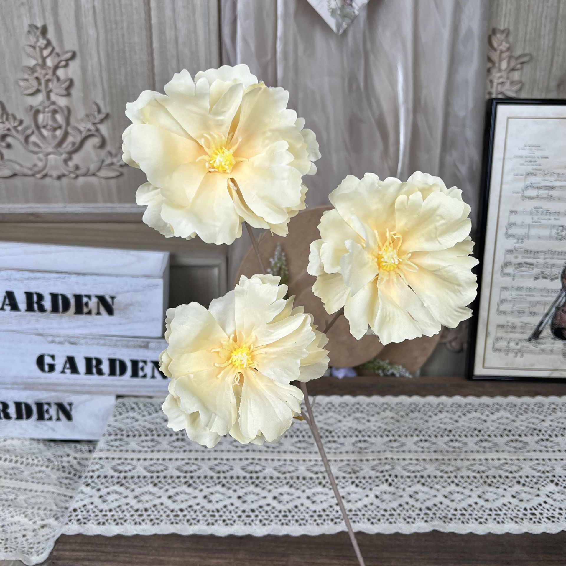 Y-Orchid Flower-Champagne