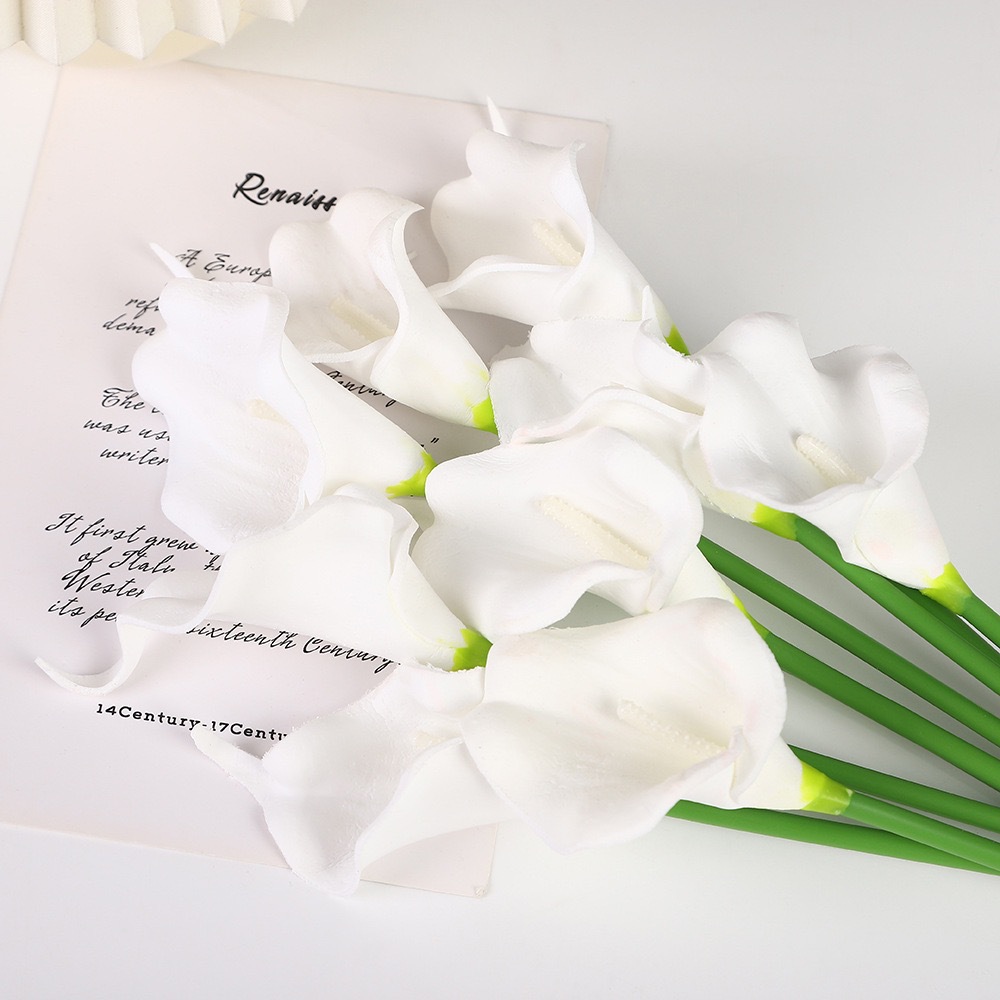Noyau blanc immaculé