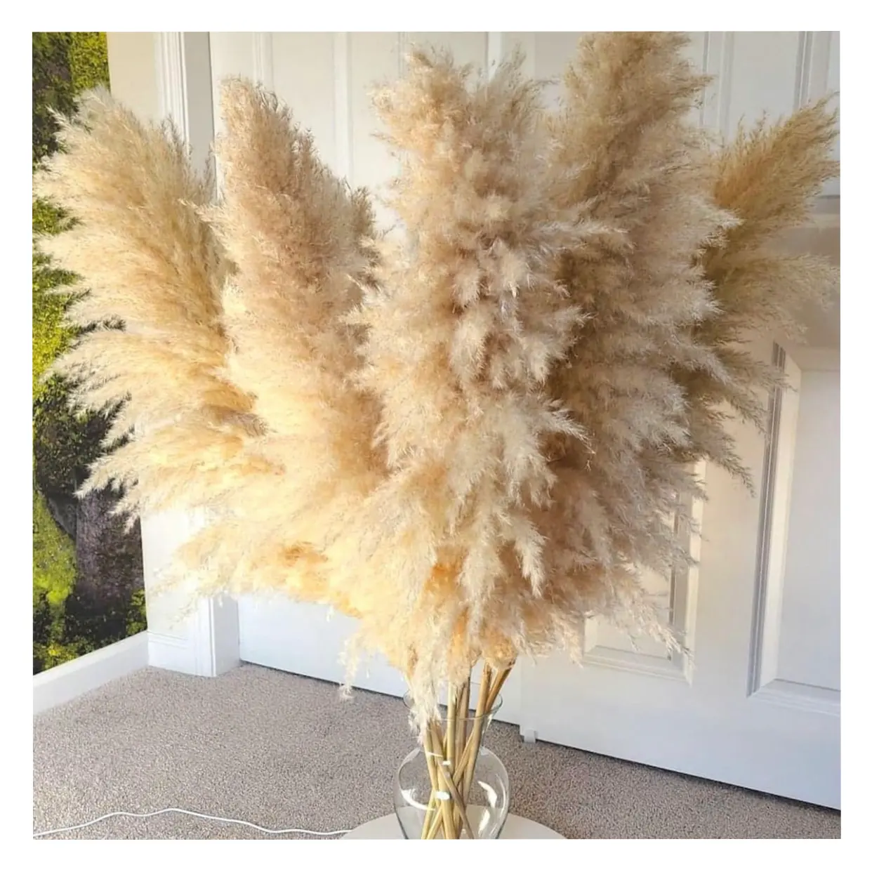 Commercio all'ingrosso Boho Wedding Decor Large Plume Dry Pampas Grass Flower Decor Natural Real conservato erba di pampa essiccata per la decorazione