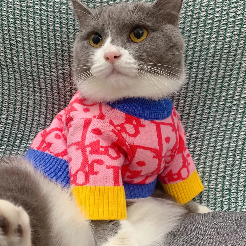 Sweter anjing kucing peliharaan warna-warni lucu rajutan lembut nyaman sweter hewan peliharaan peringatan murah grosir