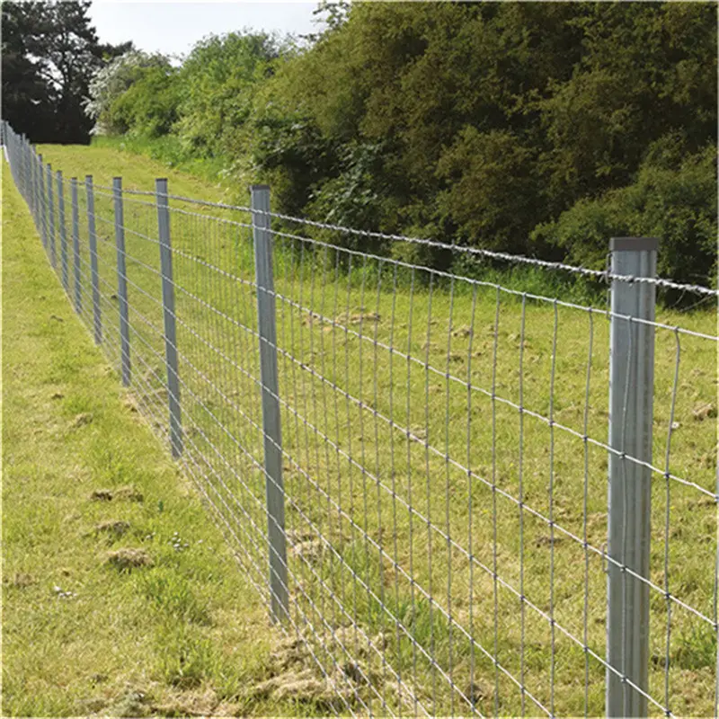 Yüksek kaliteli metal hayvancılık çiftlik çiti direği