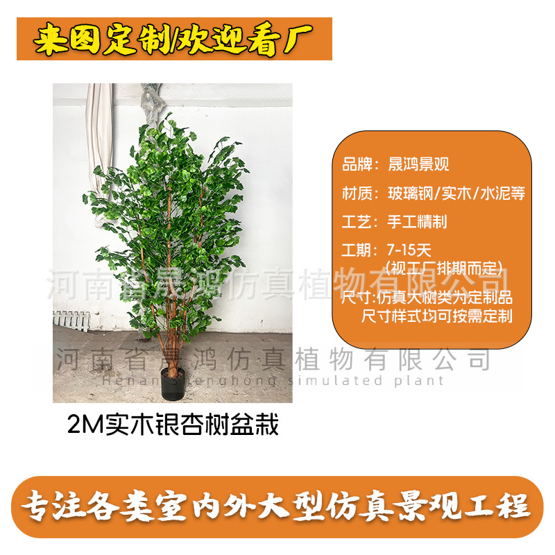 Bonsái de ginkgo verde de madera maciza de 2 metros (enlace de depósito)