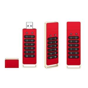 Sicheres Flash-Laufwerk mit automatischer Sperr funktion AES256-bit Hardware-Passwort verschlüsselt USB-Speichers tick