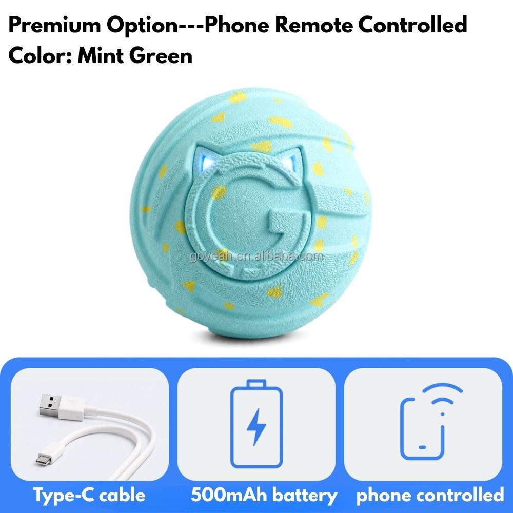Version télécommande téléphone vert menthe