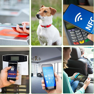 Free Sample Custom Programmable 1K RFID NFC Tag Waterproof 213 215 Ntag216 HF <strong>UHF</strong> 13.56MHz 860-960MHz <strong>Inlay</strong> PVC Payment - Product Image 6
