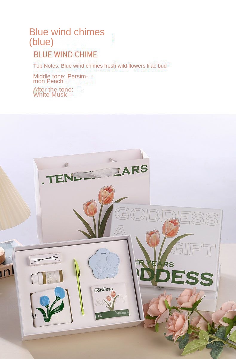 Coffret cadeau tulipe-bleu-vent bleu