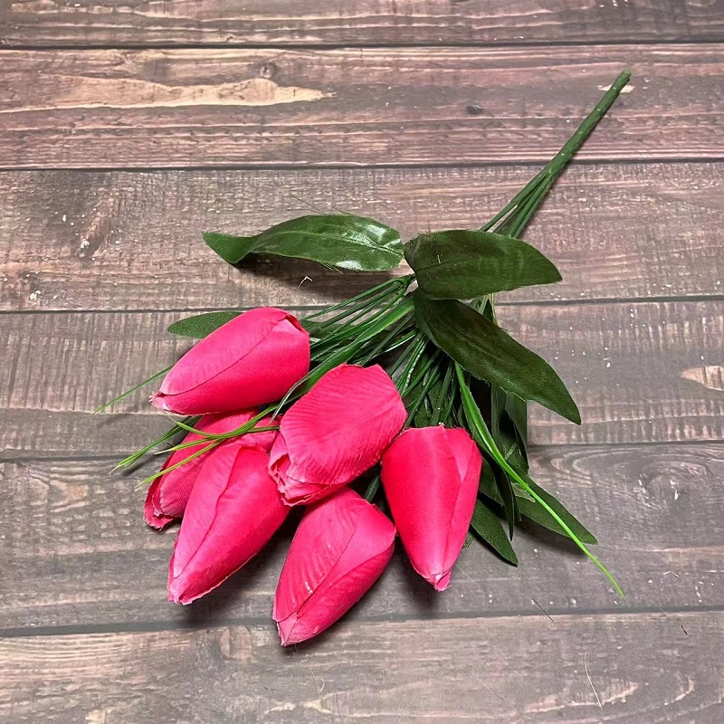 Rosa rossa