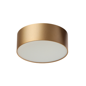 PNY Modern LED tavan ışık akıllı ev ofis yatak odası LED lambalar ile aydınlatma armatürü/tavan ışıkları - Product Image 4