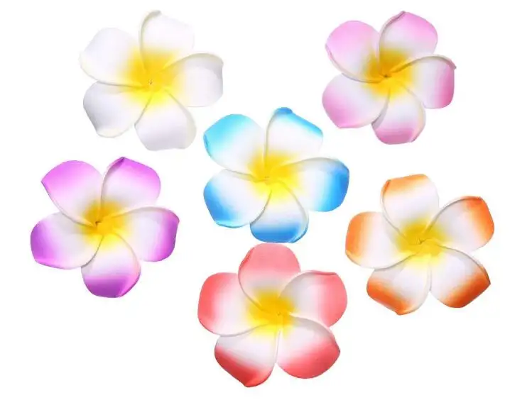 Flor de plumeria havaiana, flor de eva, cabelo frangipani