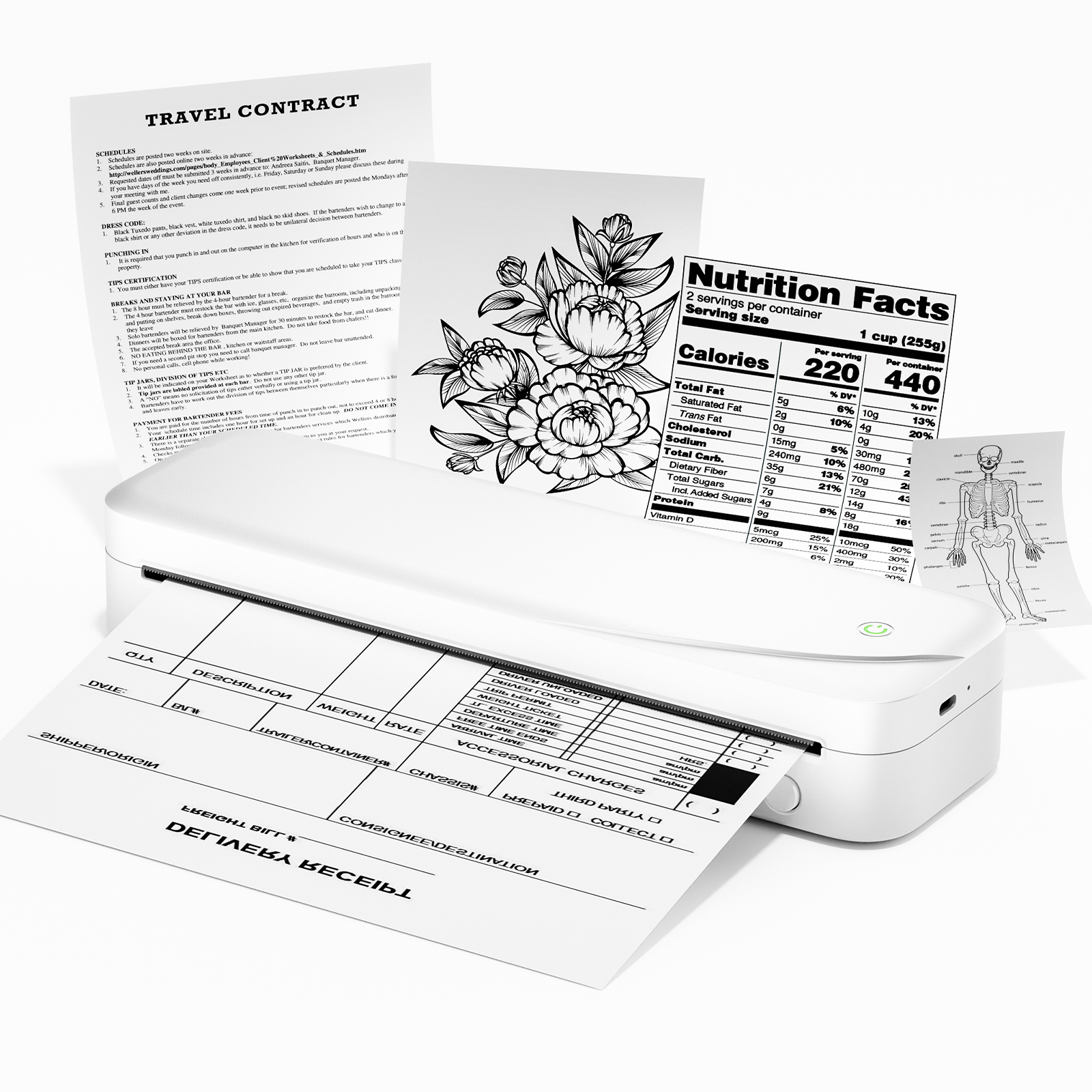 M833 300dpi Portable Printer