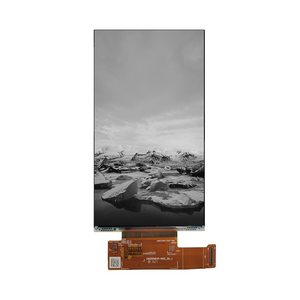 5.5 inch 2160x3840 4K màn hình <span class=keywords><strong>LCD</strong></span> đơn sắc 5.46 inch mô-đun Màn hình <span class=keywords><strong>LCD</strong></span> đơn sắc với bảng điều khiển H-DMI cho thiết bị in 3D - Product Image 1