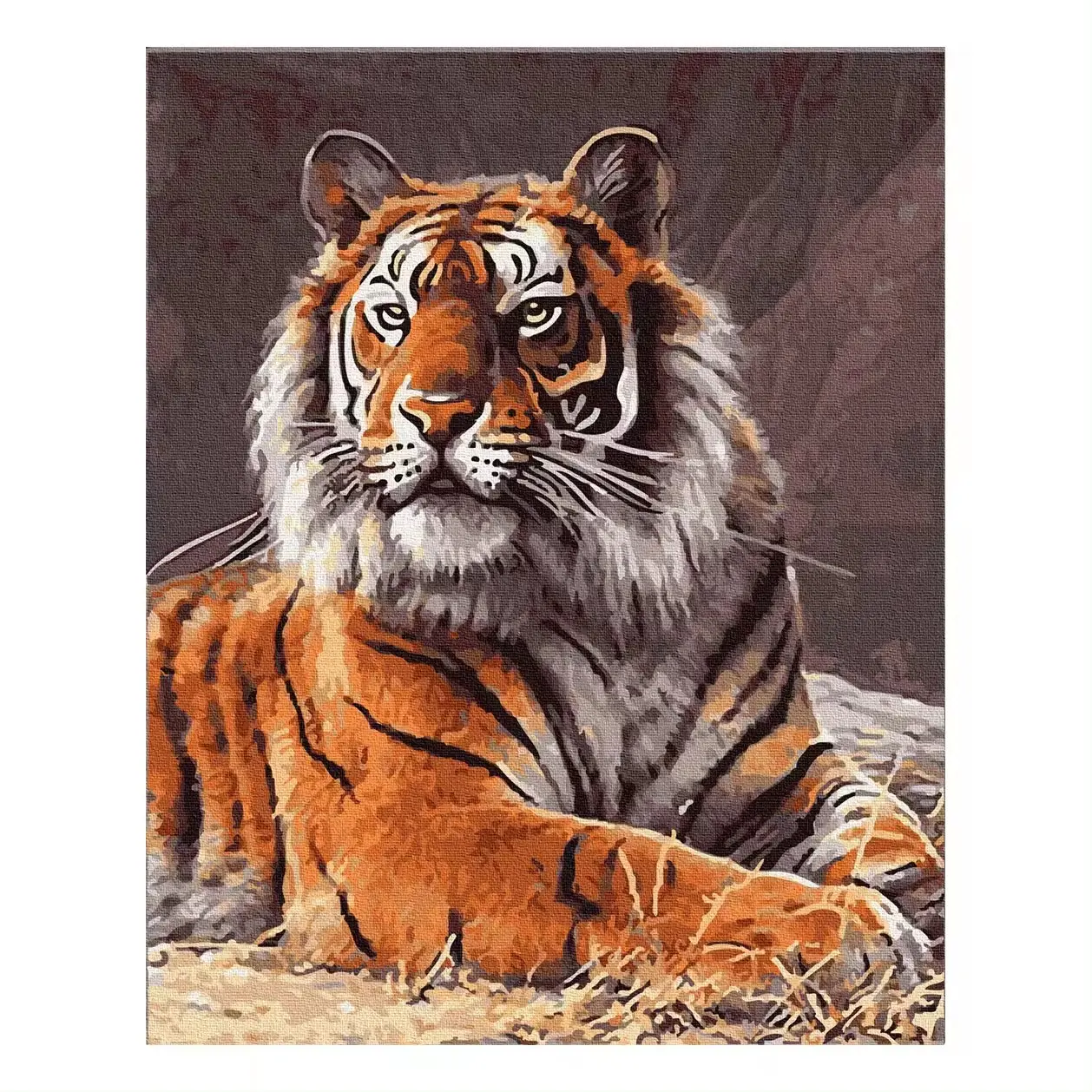 Tigre bestia re pittura diamante soggiorno fai da te ricamato croce animale pittura decorativa con numeri