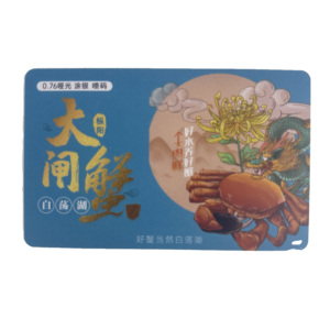 哑光银0.76毫米聚氯乙烯会员卡刮擦设计，带胶印二维码磁卡类型 - Product Image 4