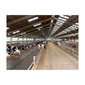 Chất lượng cao Kết Cấu Thép prefab gia súc trang trại nhỏ prefab gia súc nhà để bán - Product Image 1