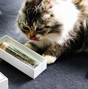 Aperitivo de alta calidad, hierba gatera, comida para gatos, 20G, con caja de color - Product Image 3