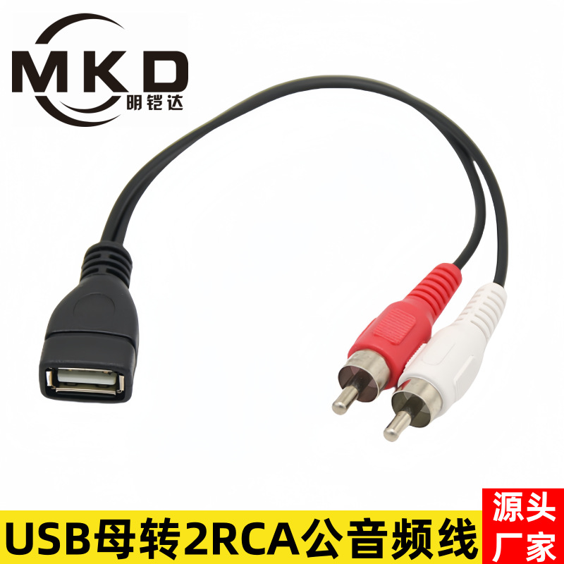 USB femelle vers 2RCA mâle