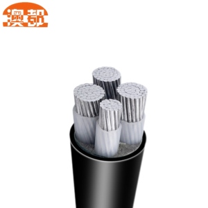 1-4コア70 Sq Mm XLPE絶縁低周波電源ケーブルシングルコアPVC PEケーブル - Product Image 3