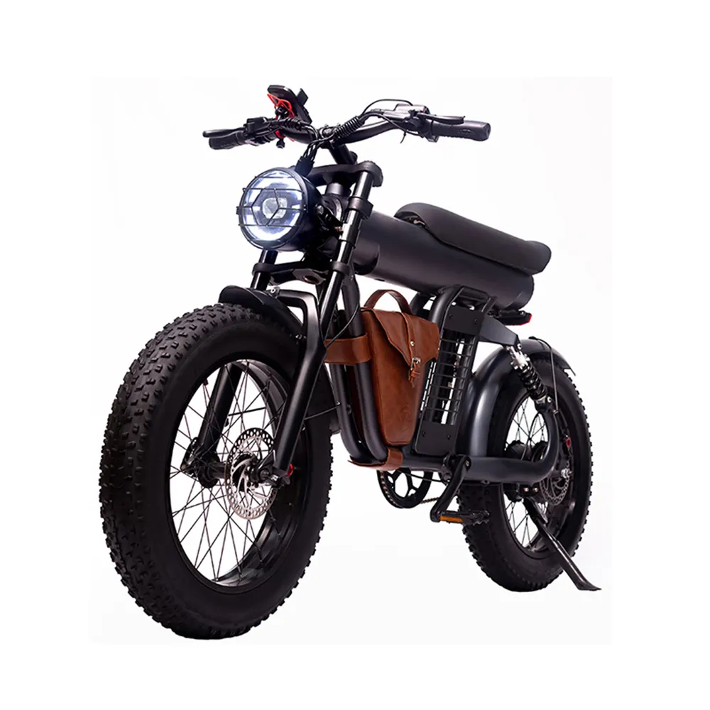 Fabriek Oem 1200W 1500W 1800W 2000W 3000W 4000W 5000W 8000W 12000W 15000W 20000W Elektrische Fiets Volwassen Off Road Dirt Ebike