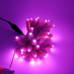 กันน้ำสีเดียว50 Leds DC 12โวลต์9มิลลิเมตรนำพิกเซลสตริงแสง - Product Image 5