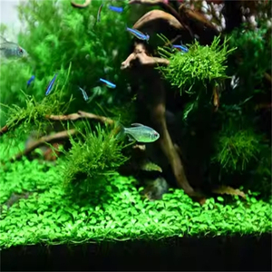 魚のアクセサリー水族館の泥をきれいにする必要はありません水草を植える魚に使いやすい水草の泥 - Product Image 5