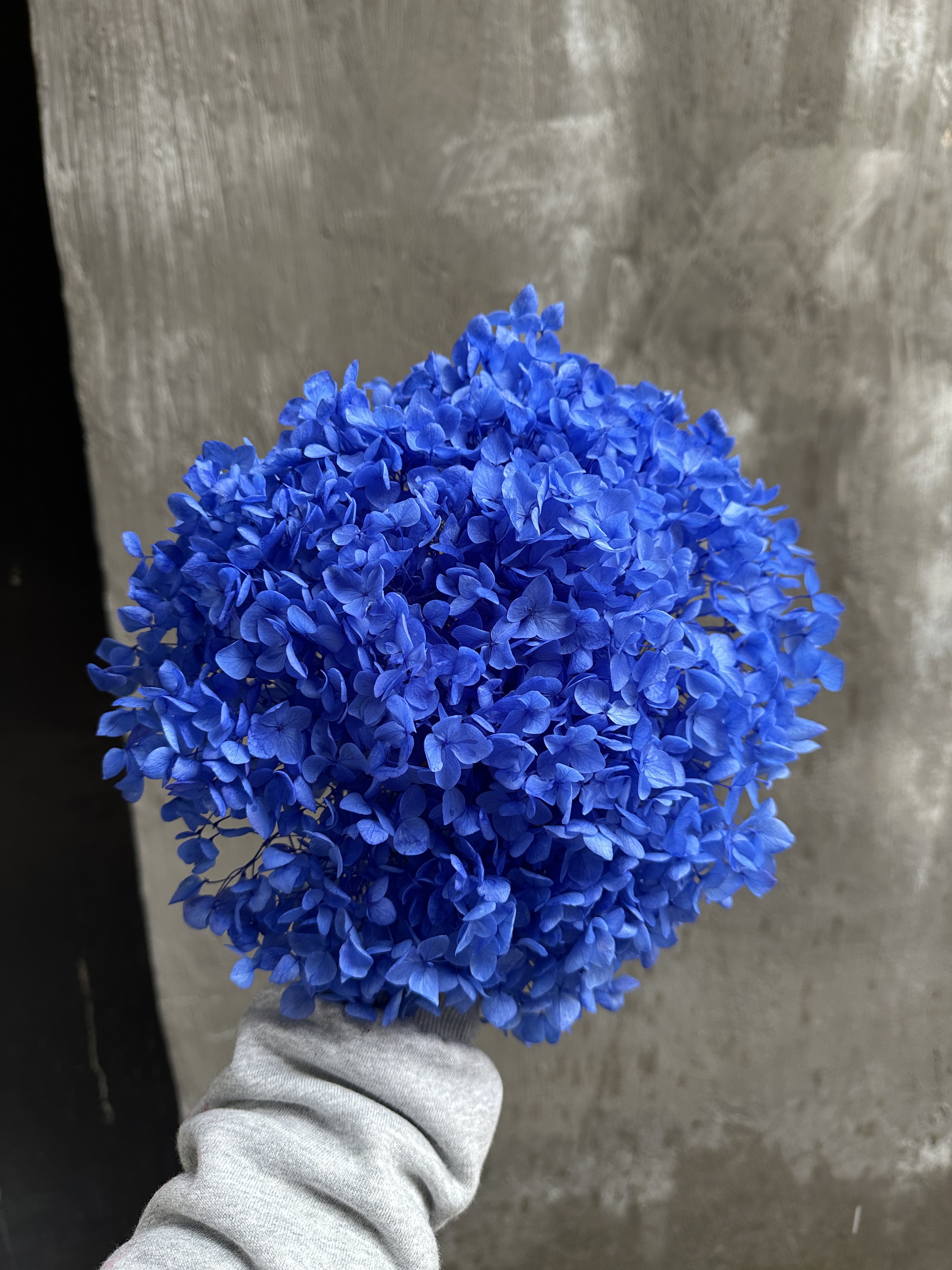 Bleu