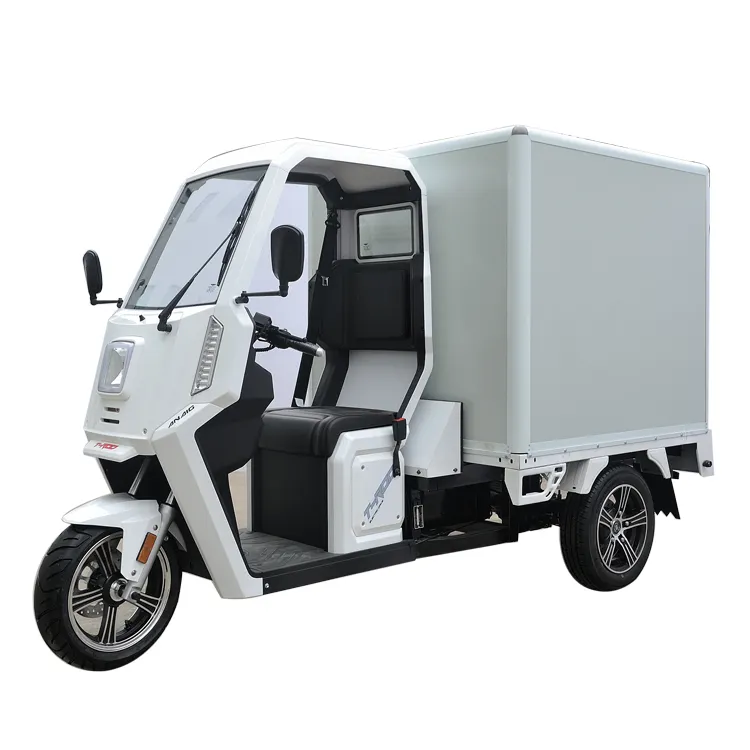 Mini Cargo Van/petite livraison ou transfert Van/voiture utilitaire commerciale