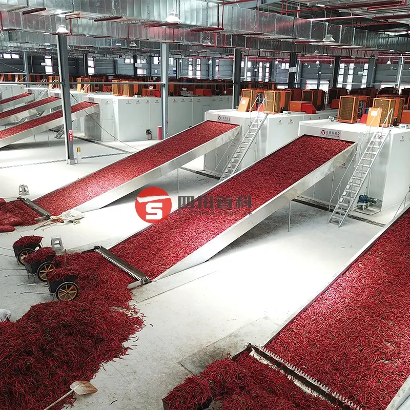 Fabricación Chilli Pepper Chili Mesh Belt Dryer Máquina de secado de frutas vegetales multifuncional automática