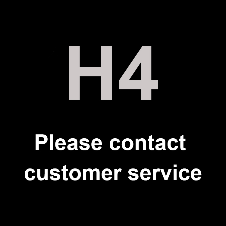 H4