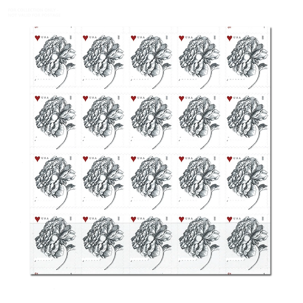 Blanc Y73 2015 Vintage Rose Pane Mariage