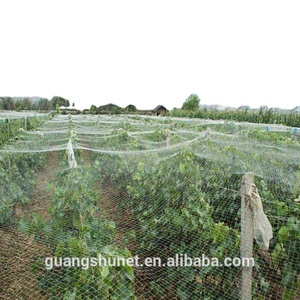 NYLON heavy duty weinberg net Fisch Teich Net anti vogel control net - Product Image 1