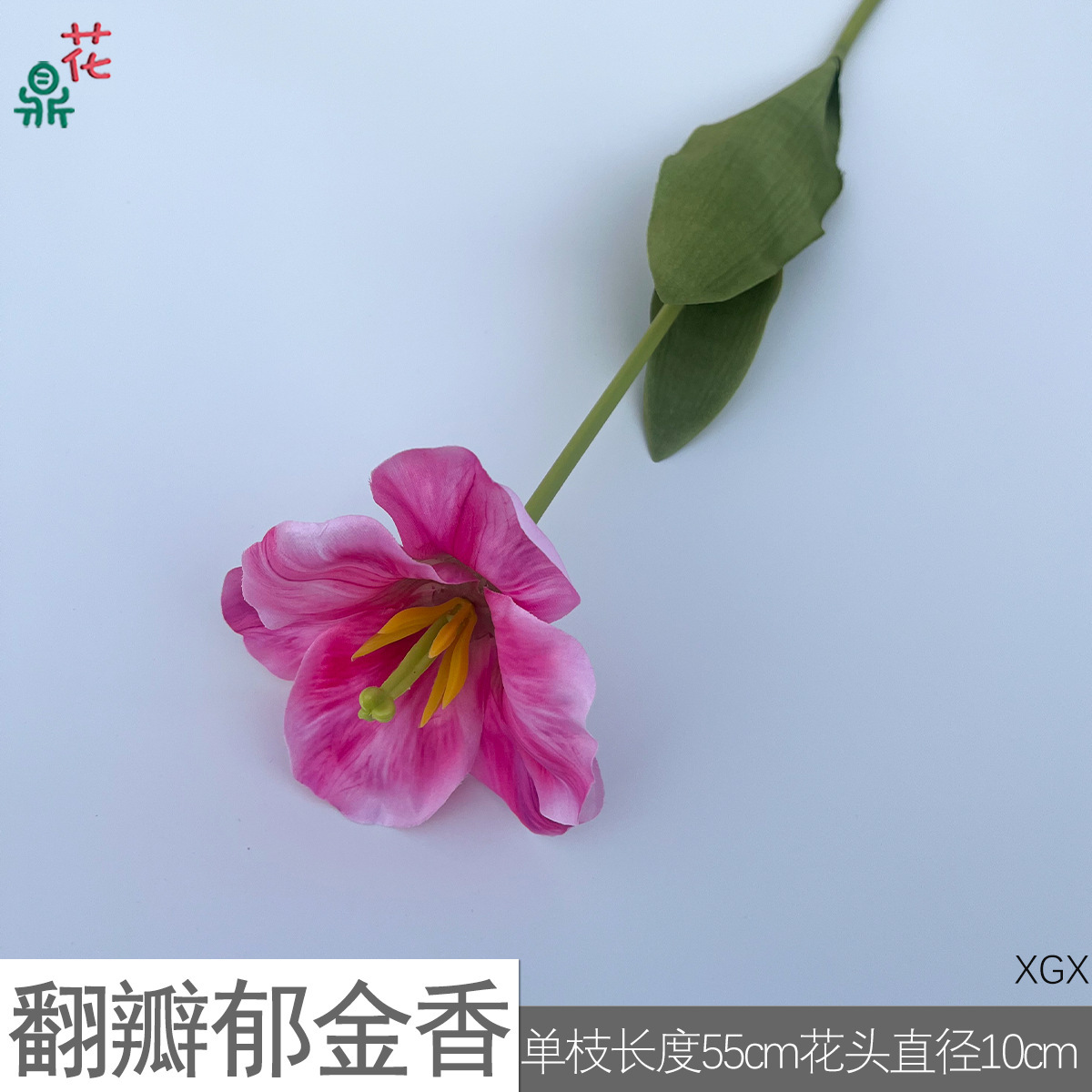 Tulip with flipped petals XGX, rose pink