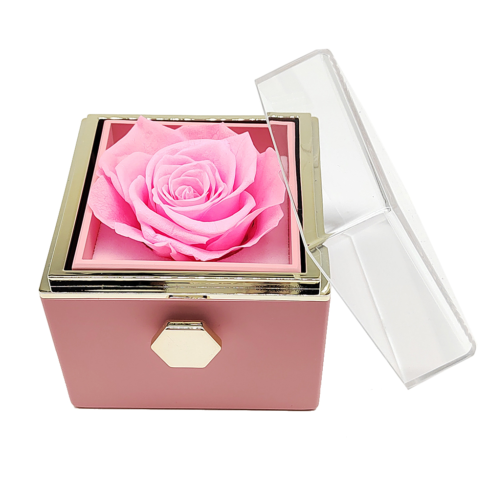 Rosa (Stock AE)**