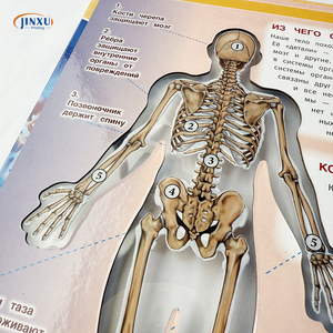 Alta Qualidade Impressão Personalizada Assembleia Humana Educacional Inteligente Anatomia Humana Ciência Aprendizagem Board Book para Kid - Product Image 3
