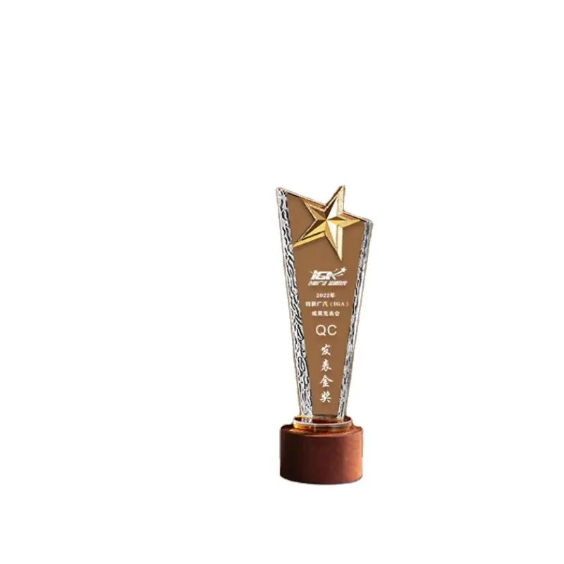 Trofeo de recuerdo OEM/ODM, medalla de campeón, logotipo personalizado, regalos, premio de cristal