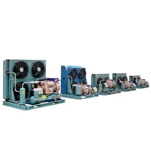 Lxry ที่เก็บความเย็นแบบวอล์กอิน1ตัน, ที่เก็บผลไม้สดเก็บแอปเปิ้ลเย็น220V ตู้แช่แข็งระเบิดลึก - Product Image 6