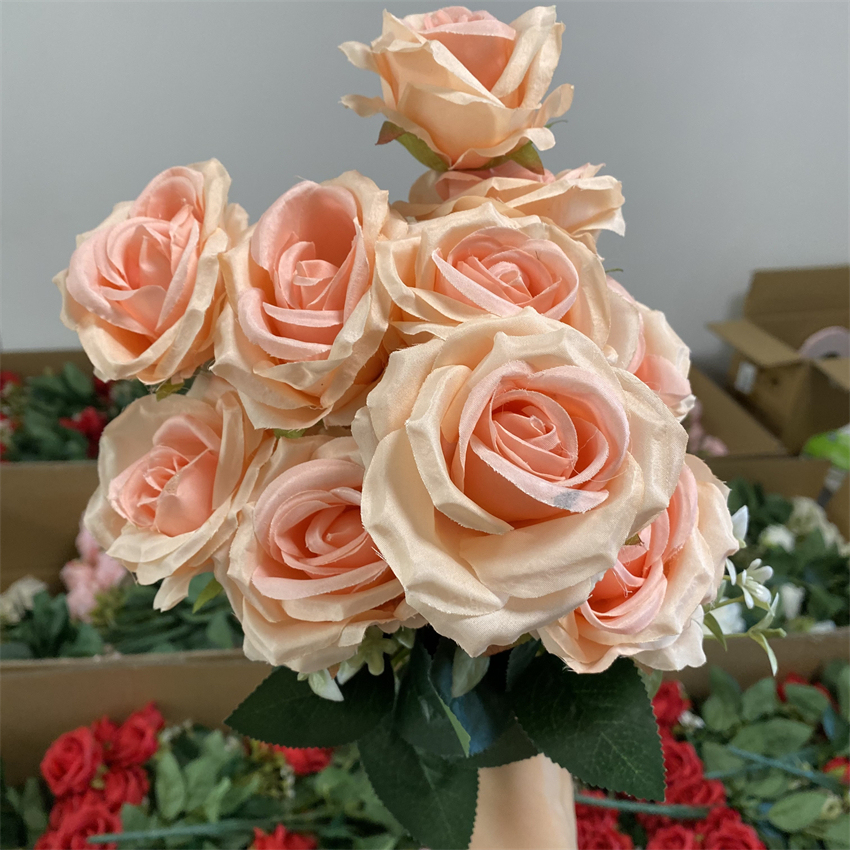 Champán-Rosa