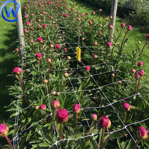 Trellis Netting Roll Blumen Spalier Erbsen netz Hdpe Gemüse pflanz netz 15 Cm Vertikales Netz für Blumen und Pflanzen - Product Image 5