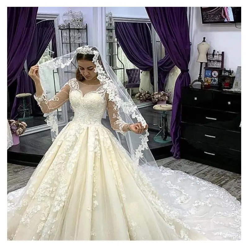 Cổ Điển Thanh Lịch Ball Gown Appliques Ren Illusion Dài Tay Veil Wedding Dress Với Train 2020 Thiết Kế Mới WF180