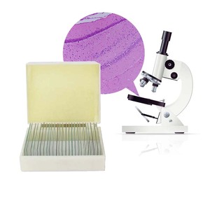 Professional <strong>Slide</strong> Set Cell Biology and Genetics Prepared <strong>Microscope</strong> <strong>Slides</strong> with Low Price