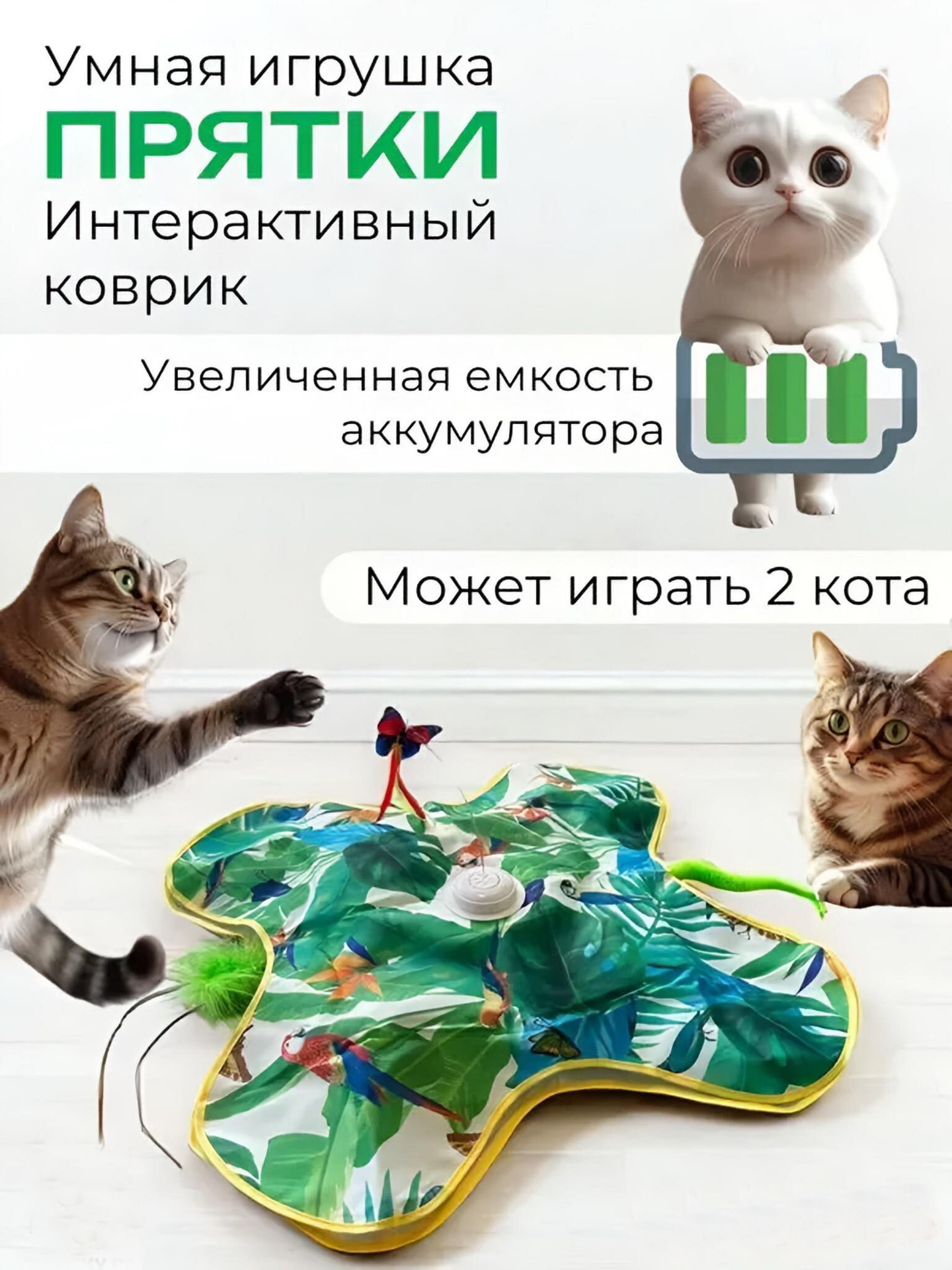 Nuevo verde de cuatro esquinas