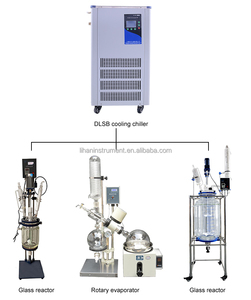 DLSB-10L Laboratory <strong>Chiller</strong> Circulator <strong>Low</strong> Temperature Coolant Circulating Pump Laboratory <strong>Chiller</strong> - Product Image 6