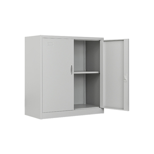 定制低高度钢制文件柜2平开门KD结构家用办公室金属储物柜 - Product Image 2