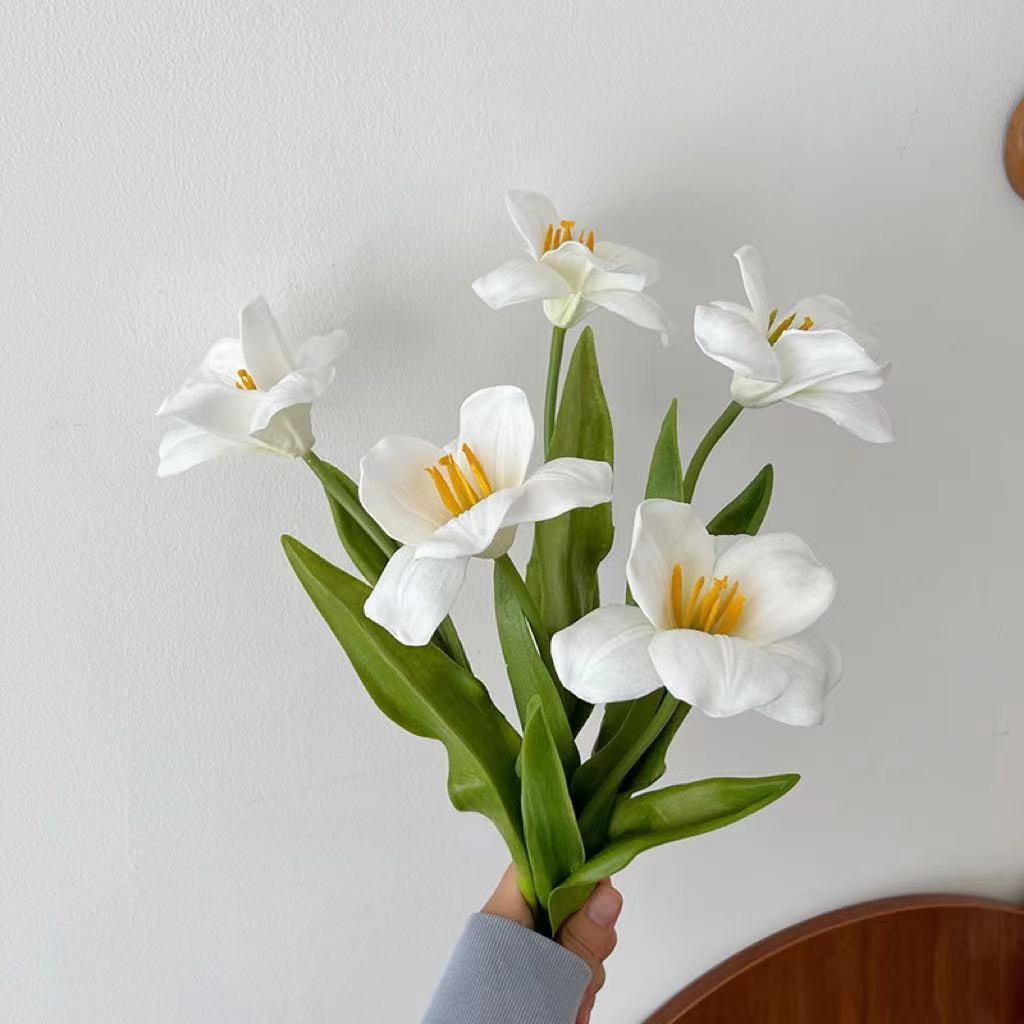 Cinq tulipes blanches en fleurs