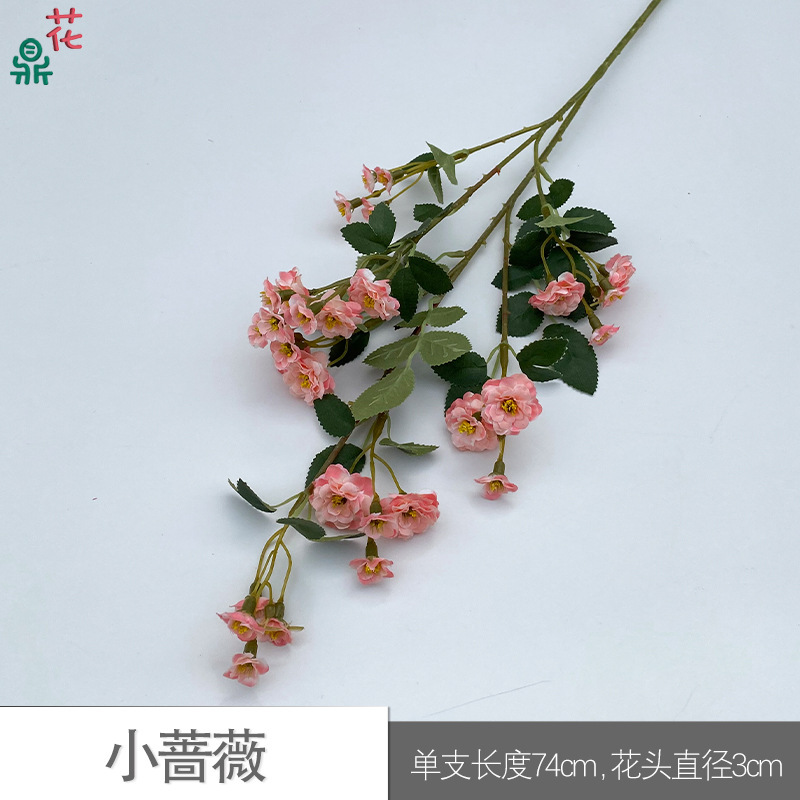 Little Rose SCN Pink