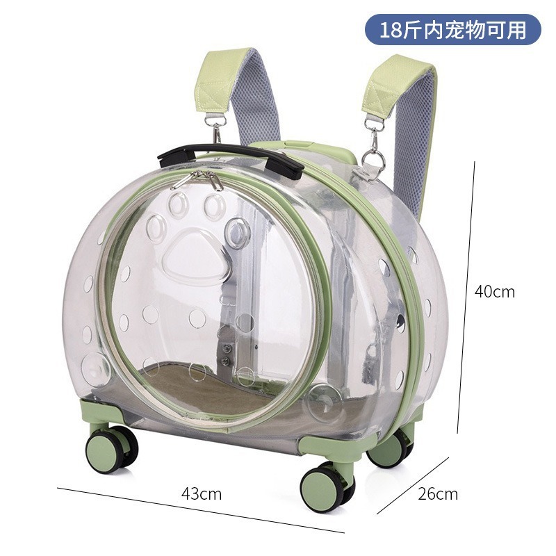 1904-2 Fully Transparent Light Green
